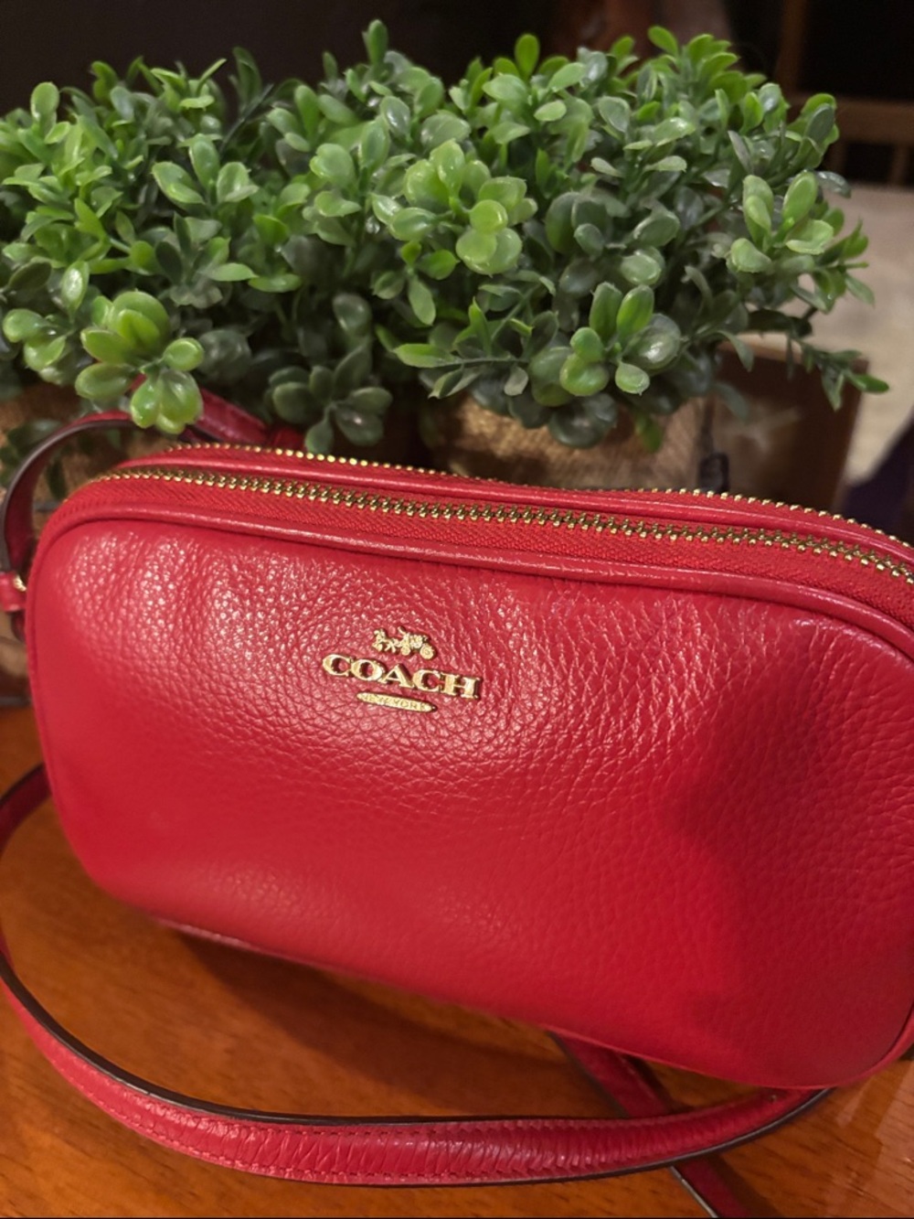 Coach Pebbled Leather Double Zip Crossbody Pouch EUC - Picture 2 of 9